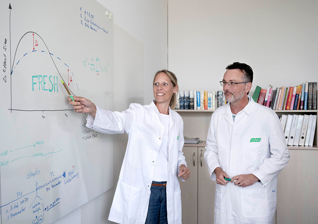Echinaforce Hot Drink: Bridging Tradition and Modern Medicine