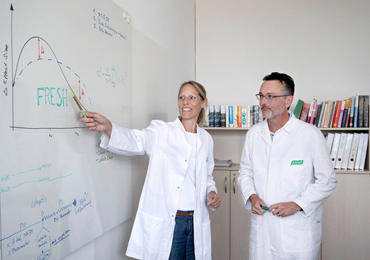 Echinaforce Hot Drink: Bridging Tradition and Modern Medicine