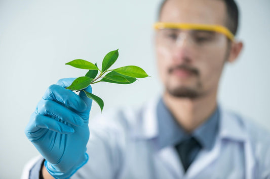 The Hidden Threat in Your Herbal Toolkit: Botanical Adulteration