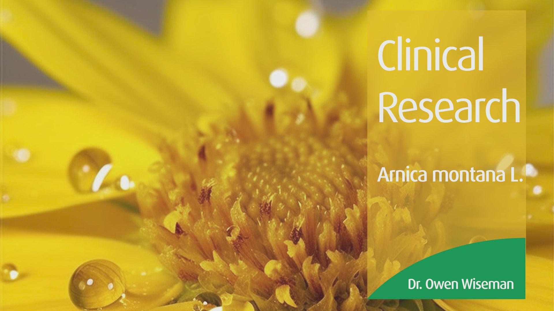 Load video: Clinical Research on Absolut Arnica Gel